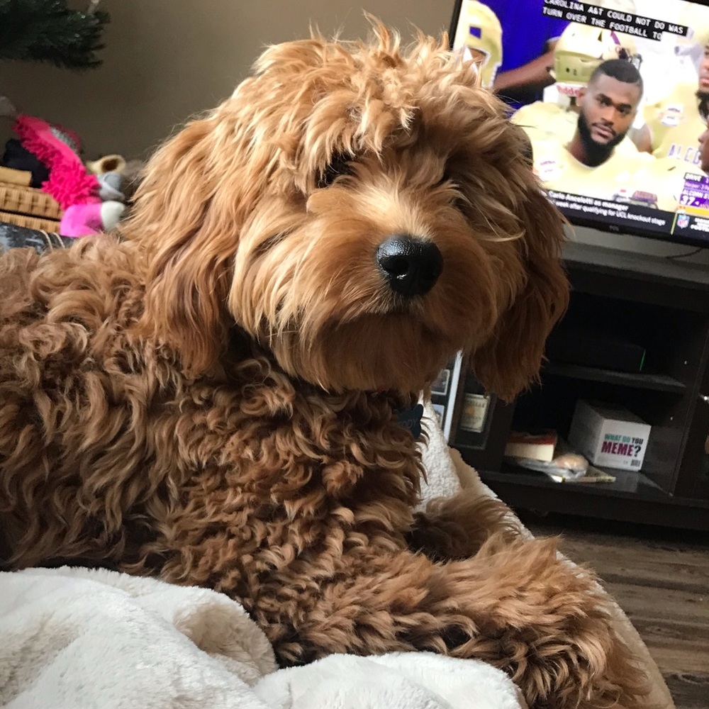 Meet your Posher, Nicki